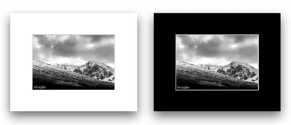  print preview