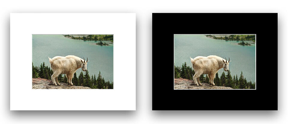 print preview