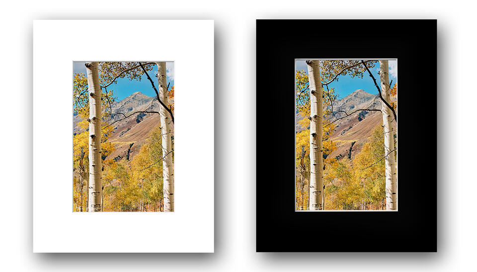  print preview