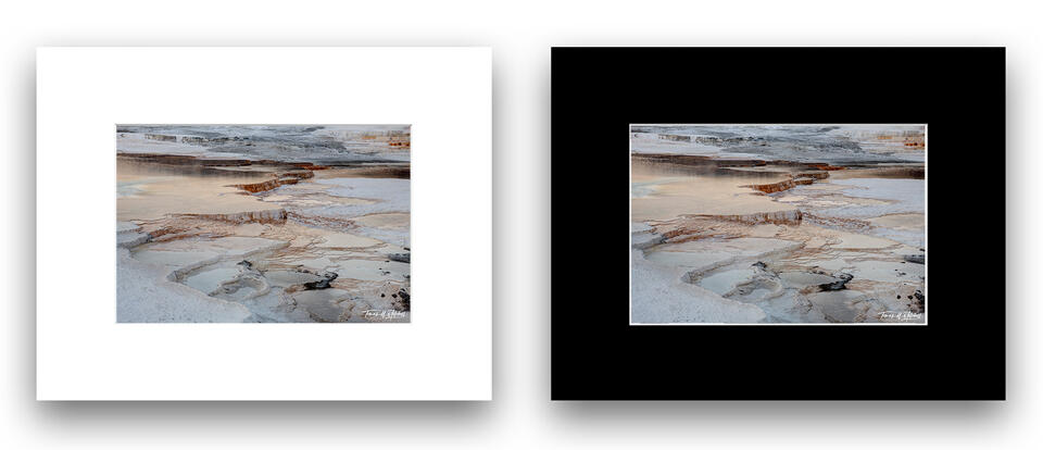 print preview