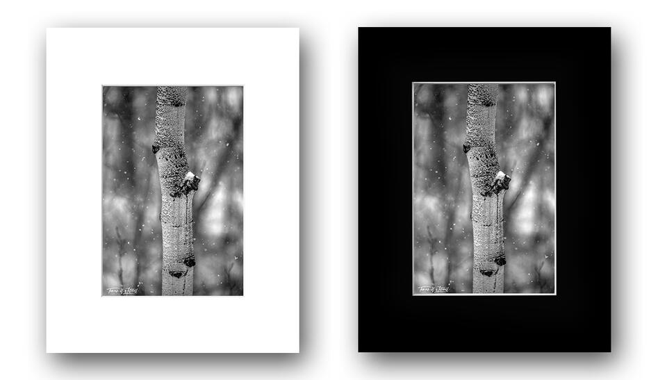 print preview