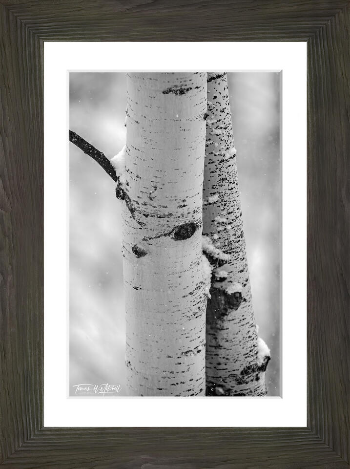 print preview