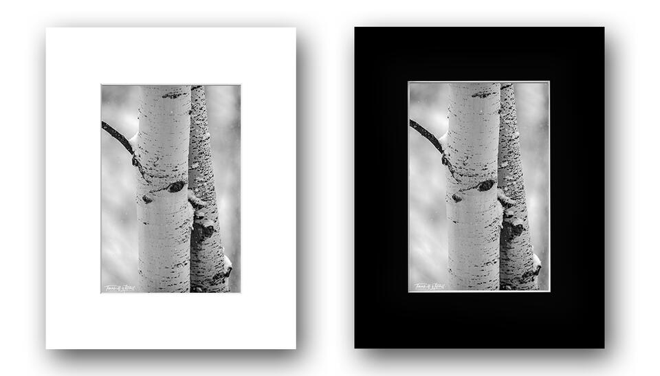 print preview
