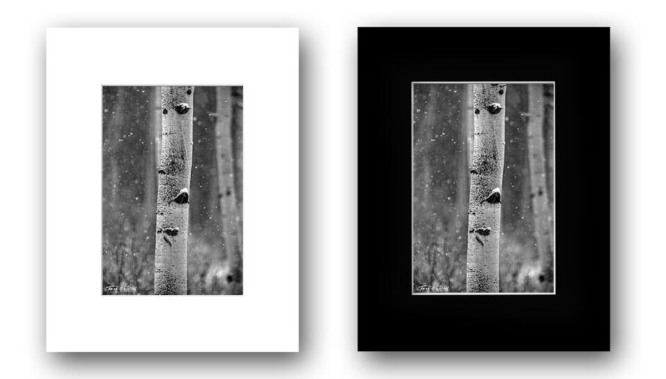print preview