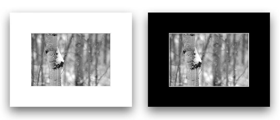 print preview