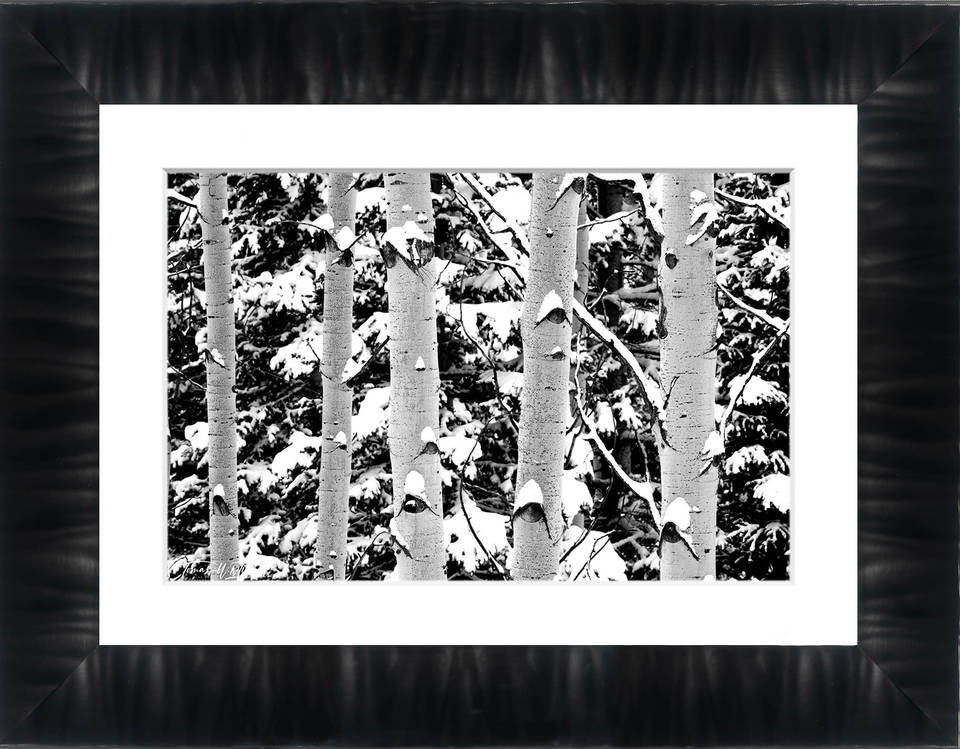 print preview