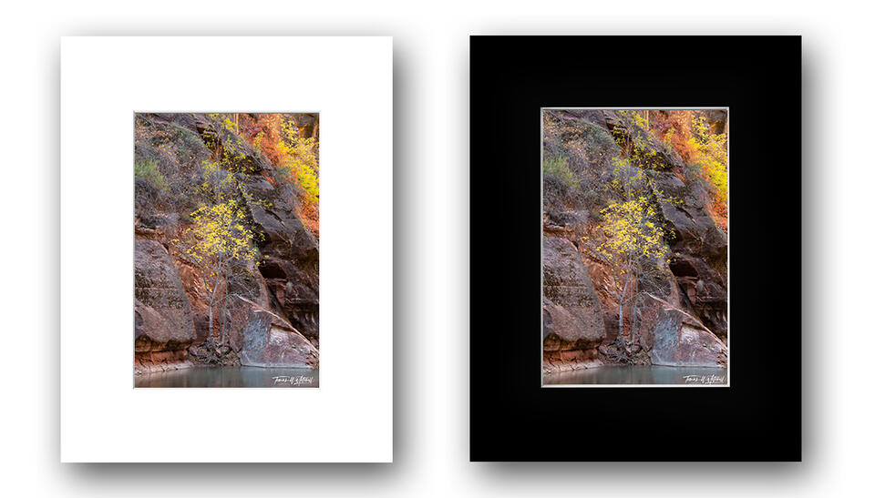  print preview