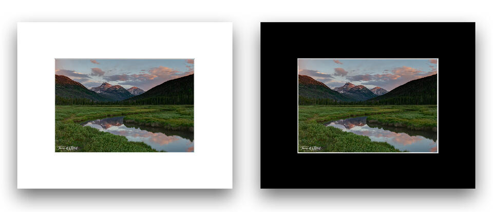print preview