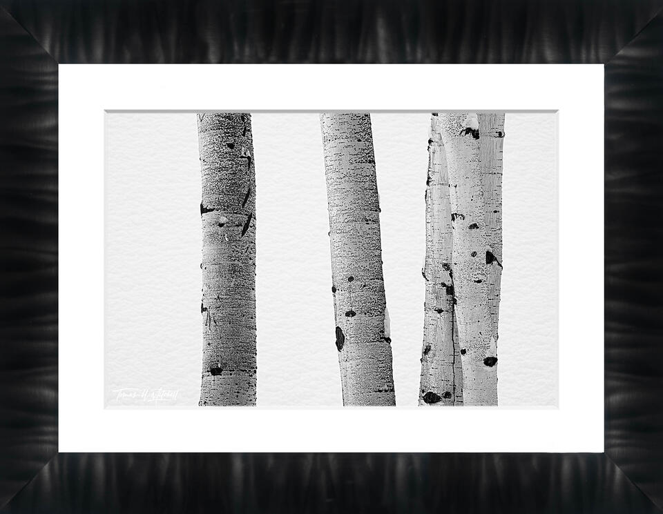  print preview