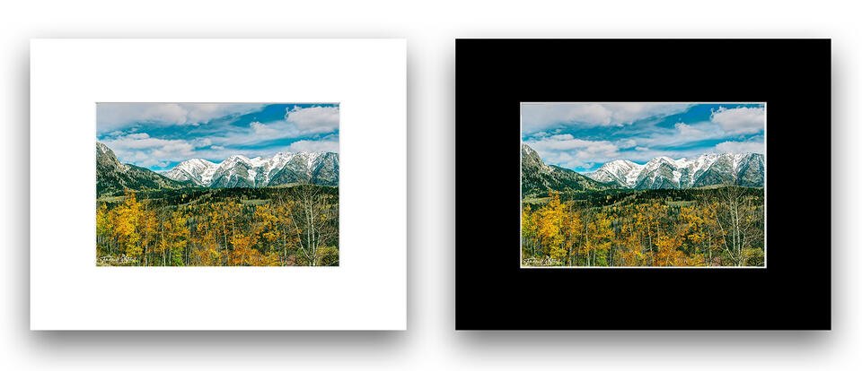  print preview