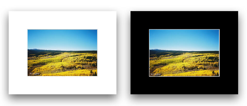print preview