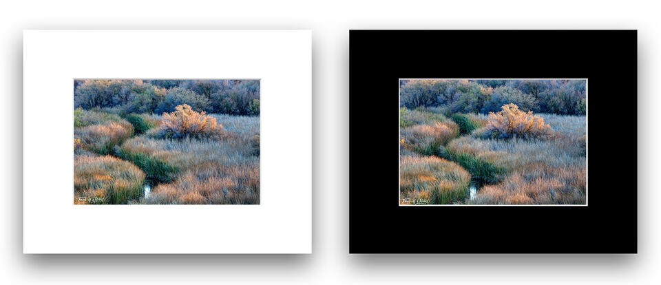 print preview