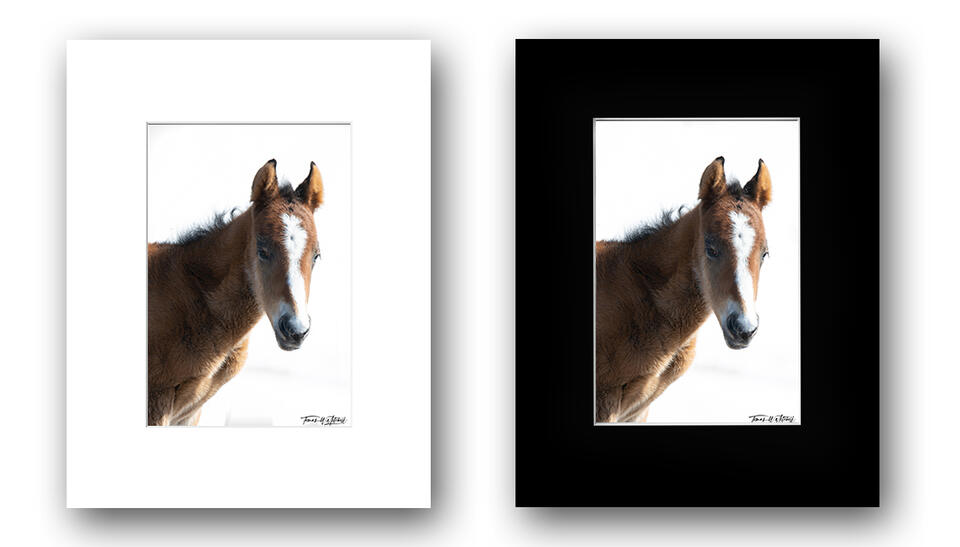 print preview