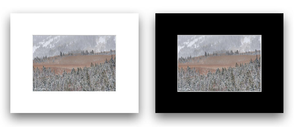  print preview