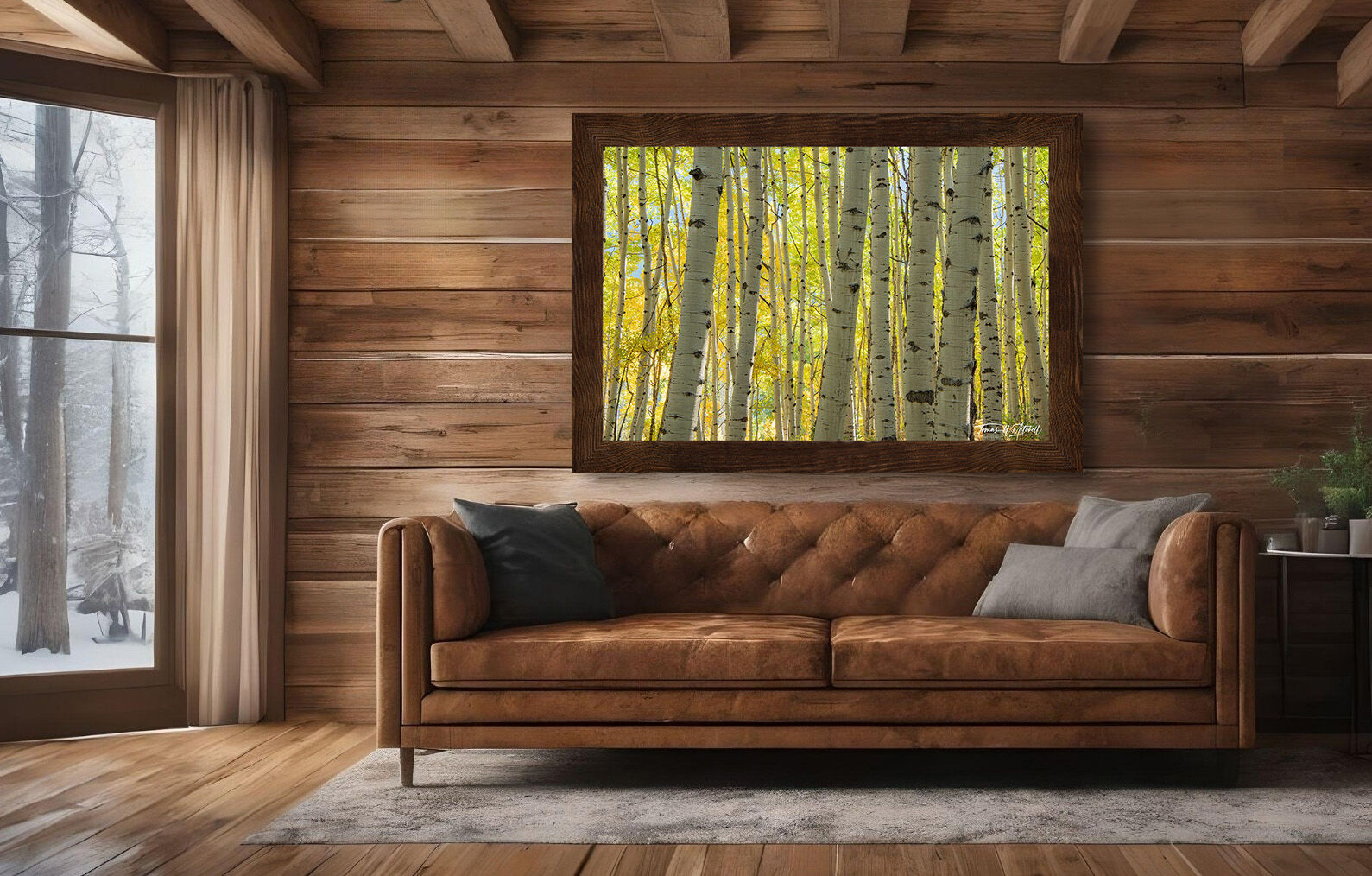 framed photograph of aspen forest in autumn on home wall