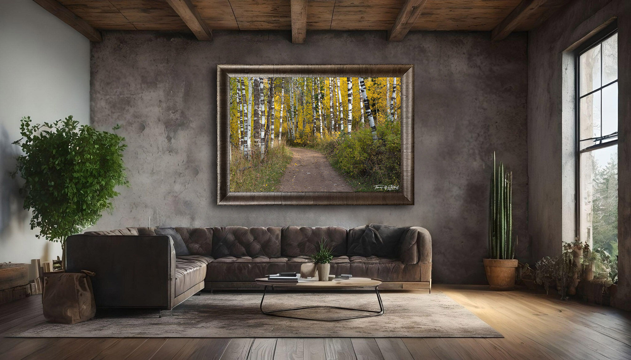 framed photograph of aspen trees in autumn on home wall.