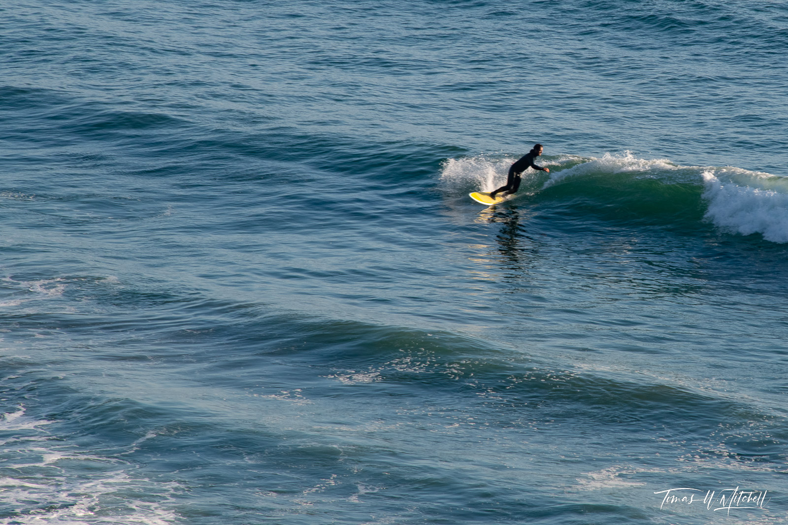 surfer carving wave