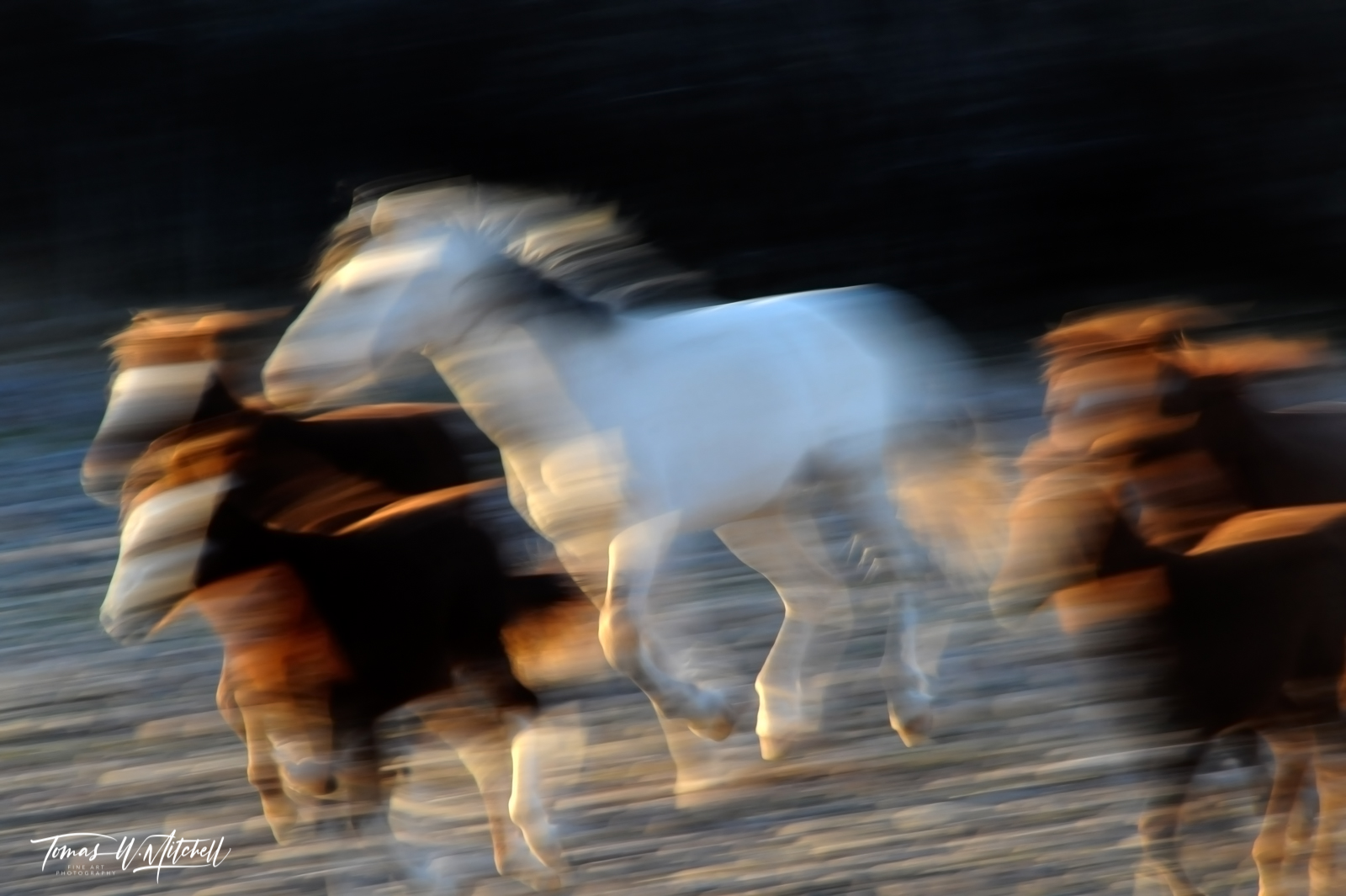 abstract photograph of running horses