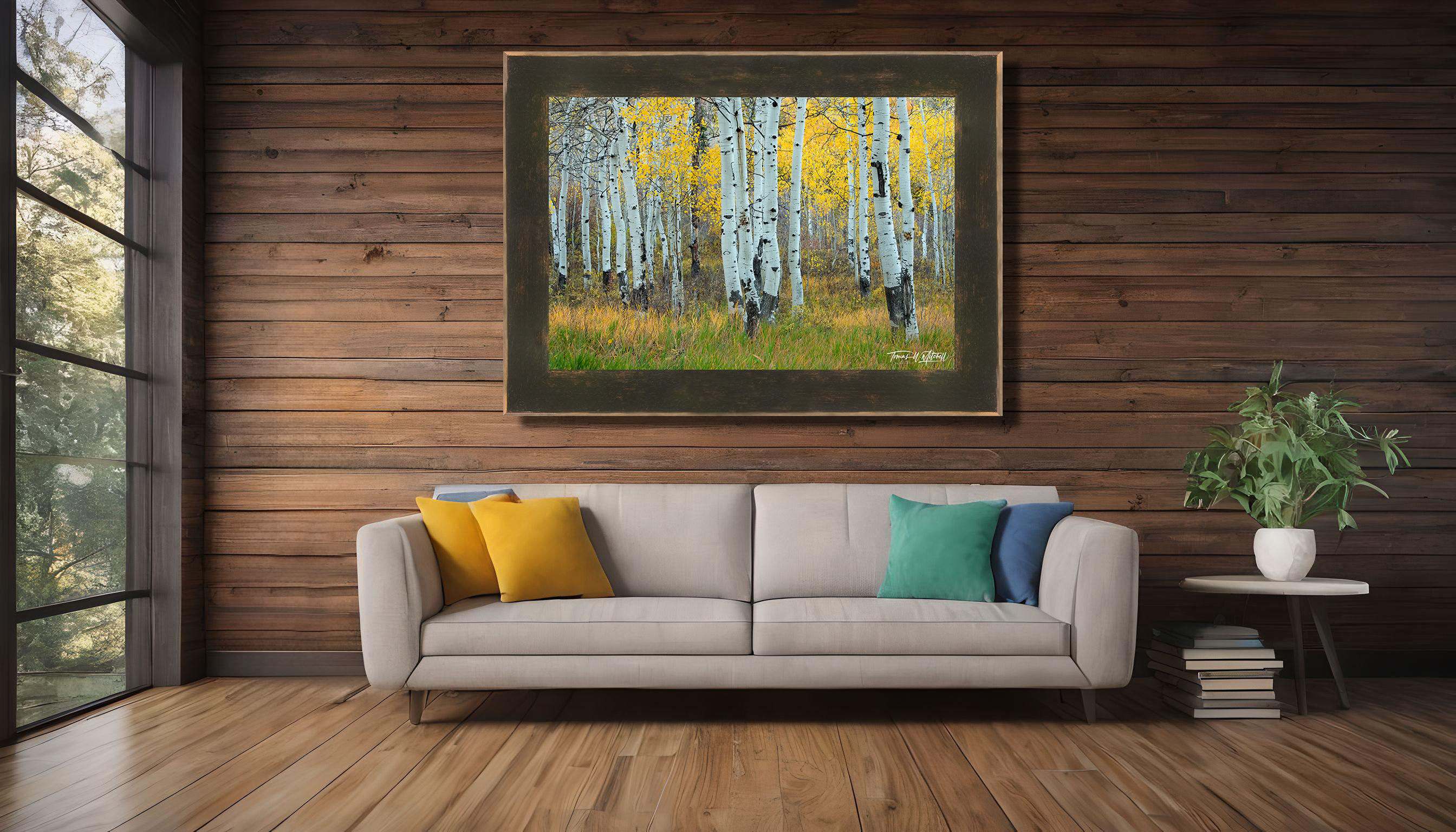 framed photograph of aspen trees in autumn on home wall