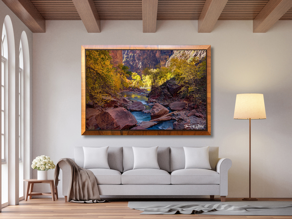 framed photograph of autumn scene on the Virgin River, Zion National Park.