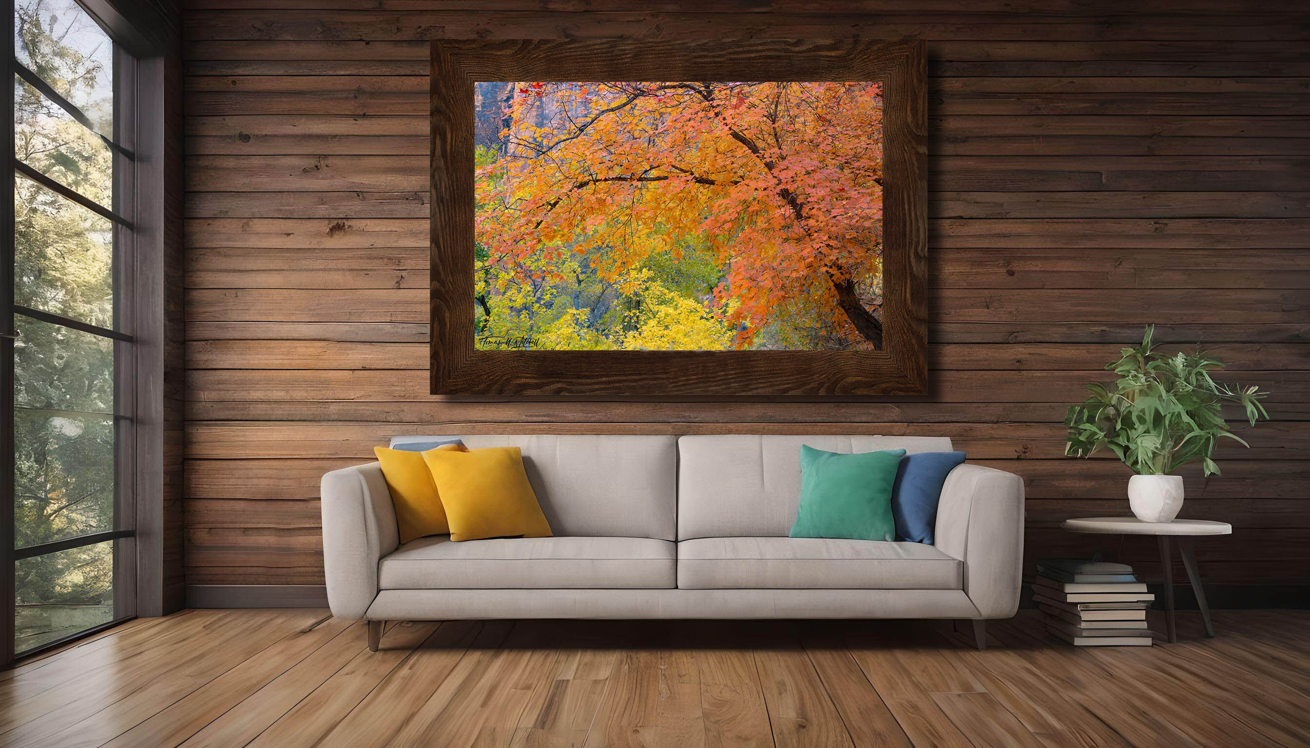 framed photograph of maple tree in autumn on home wall