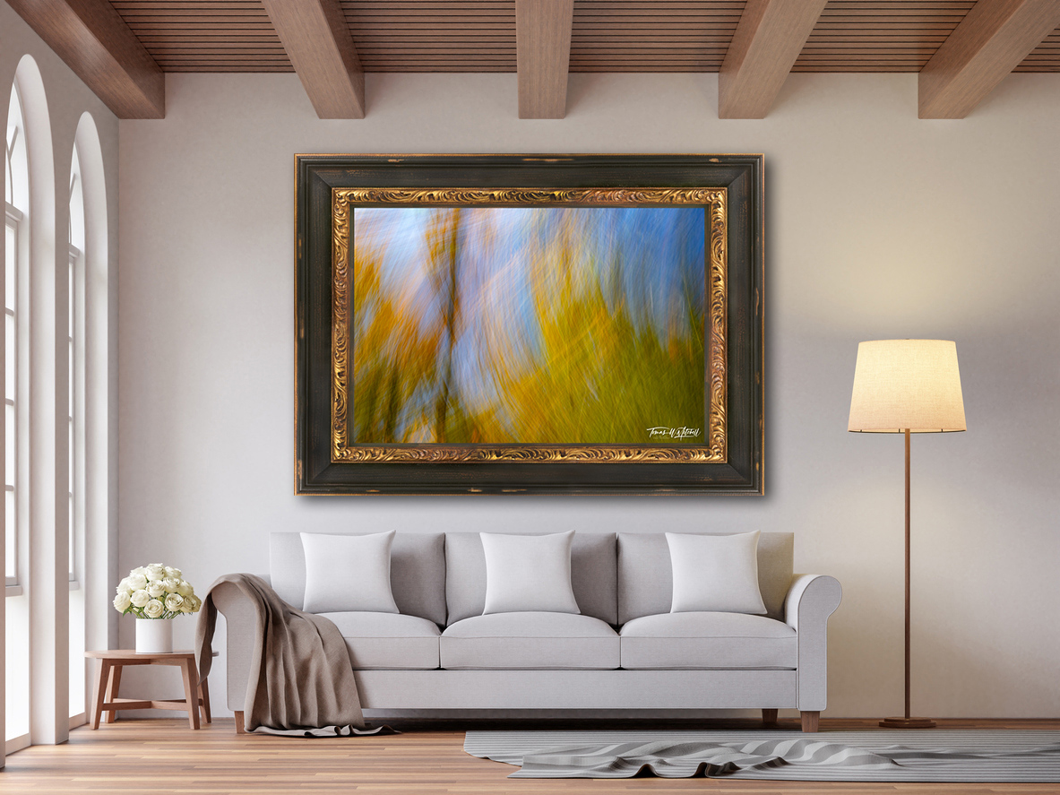 abstract photograph of autumn forest framed and on wall in home.