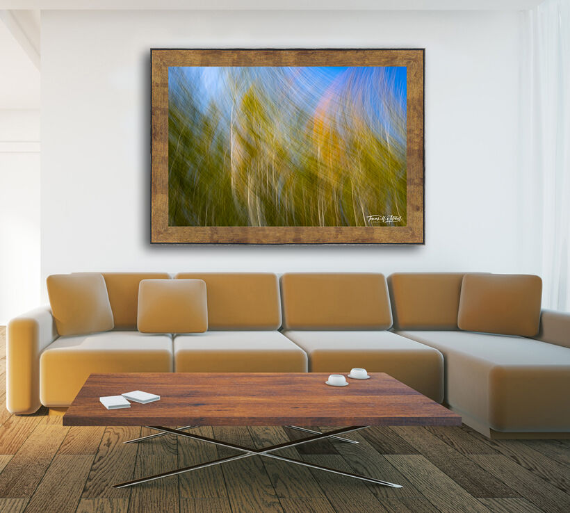 abstract photograph of forest in the autumn in a frame and on a office wall.