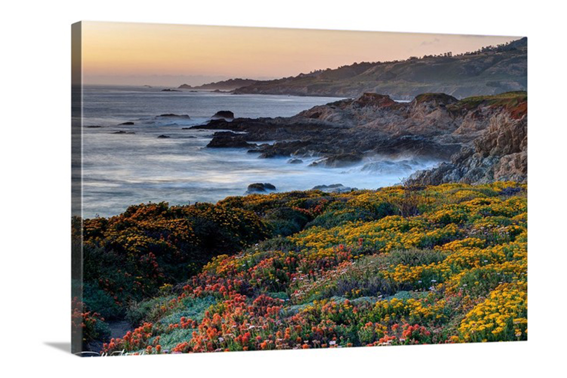 Limited Edition Gallery-Wrapped Canvas Print - Ready to Hang print preview
