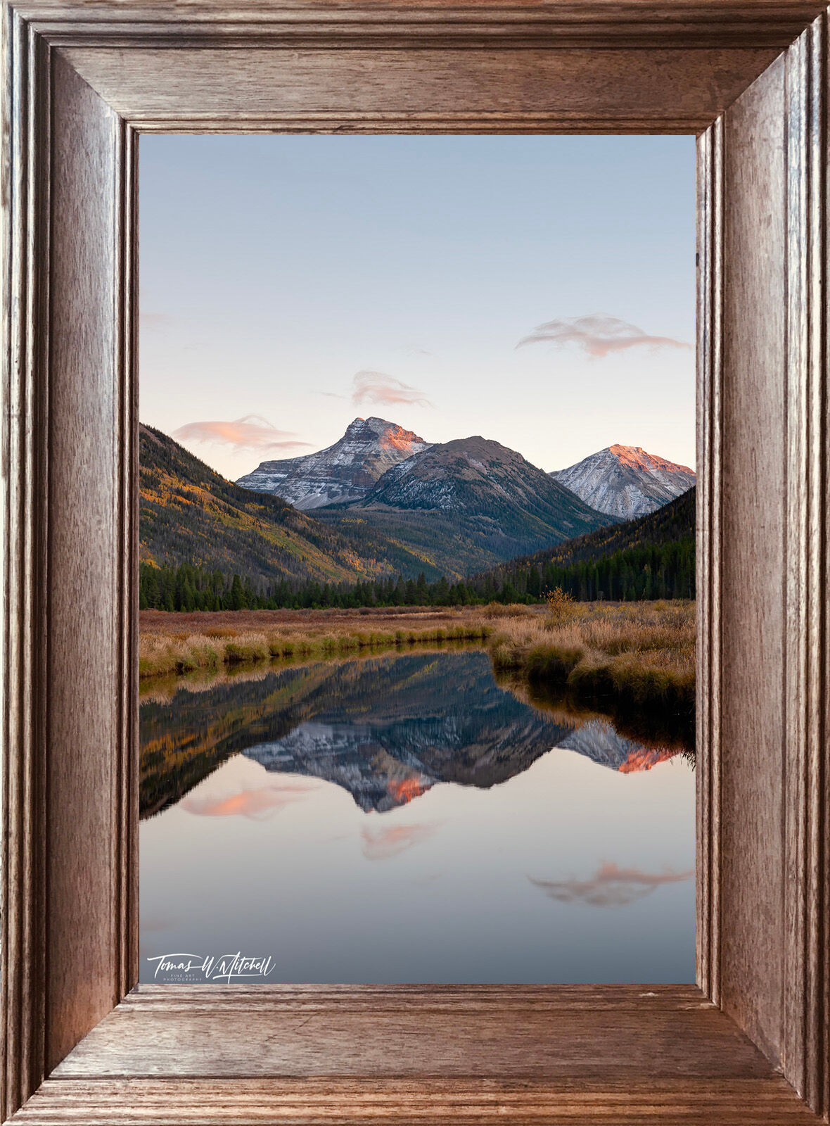 COLLECTORS CHOICE 20X30 Paper Print IN 4 5 INCH Dark Walnut STAINED 