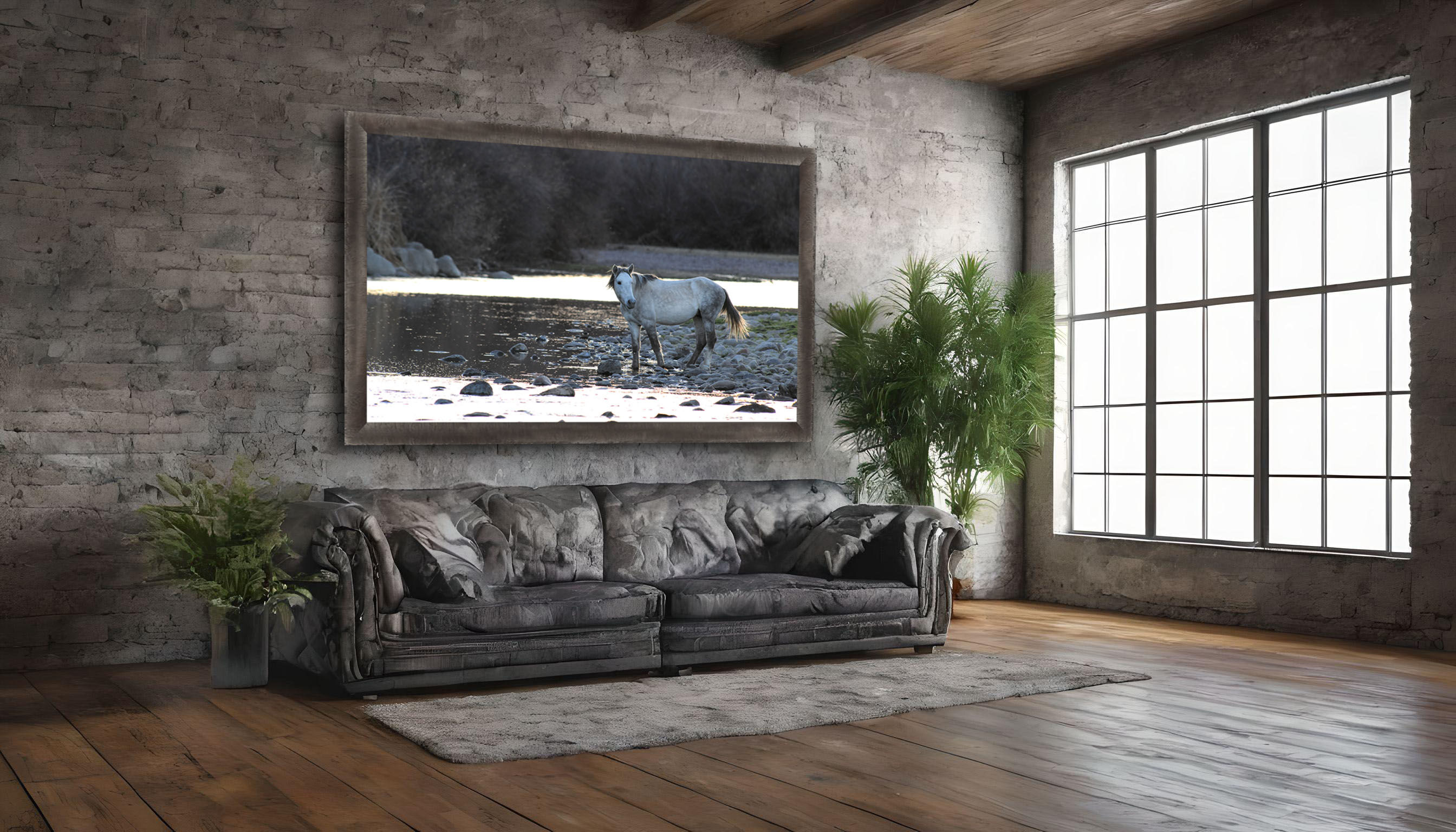 framed photograph of wild horse on home wall