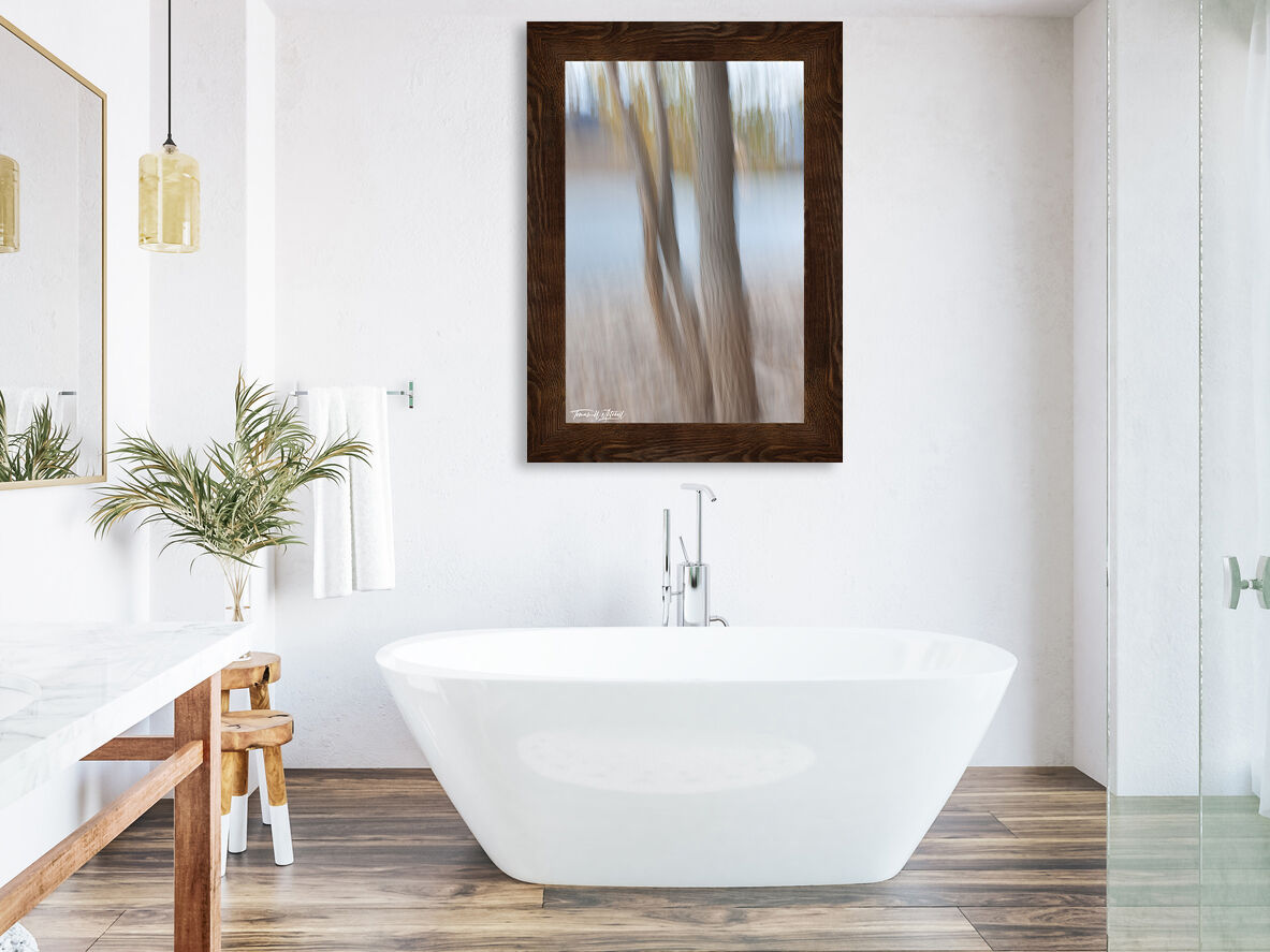 framed photograph of abstract autumn trees on bathroom wall