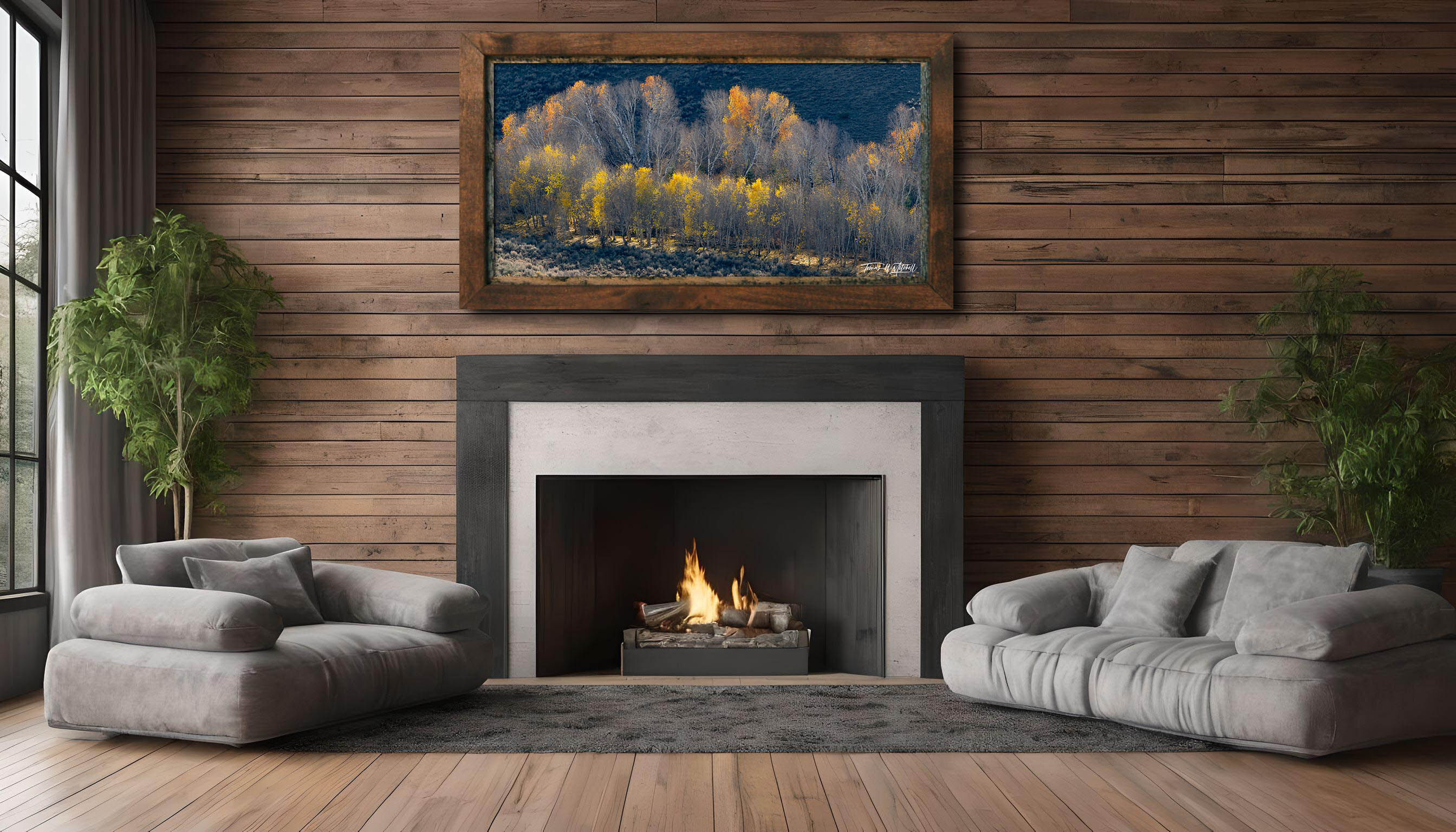 framed photograph of autumn forest on home wall