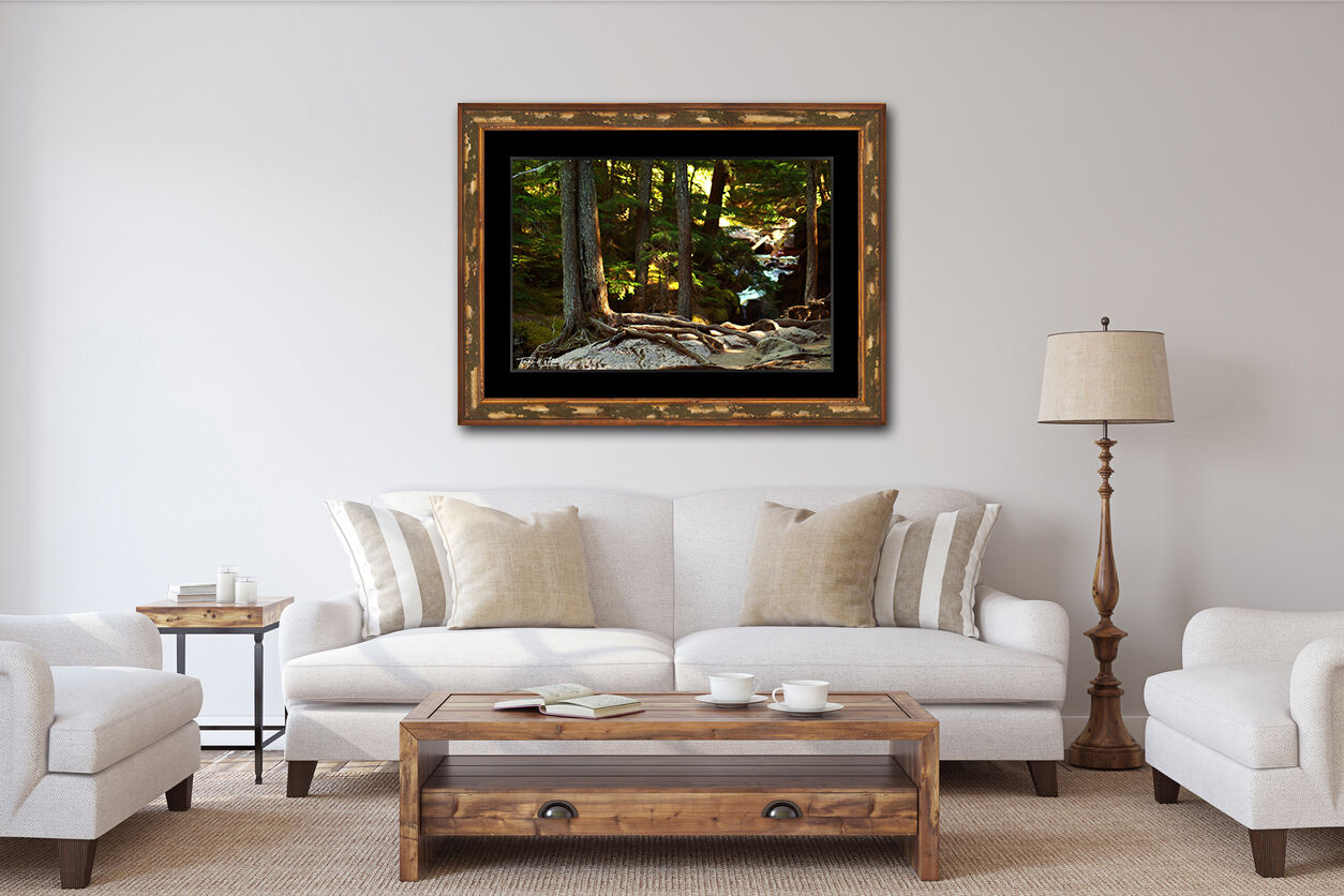framed photograph of forest in MT on home wall