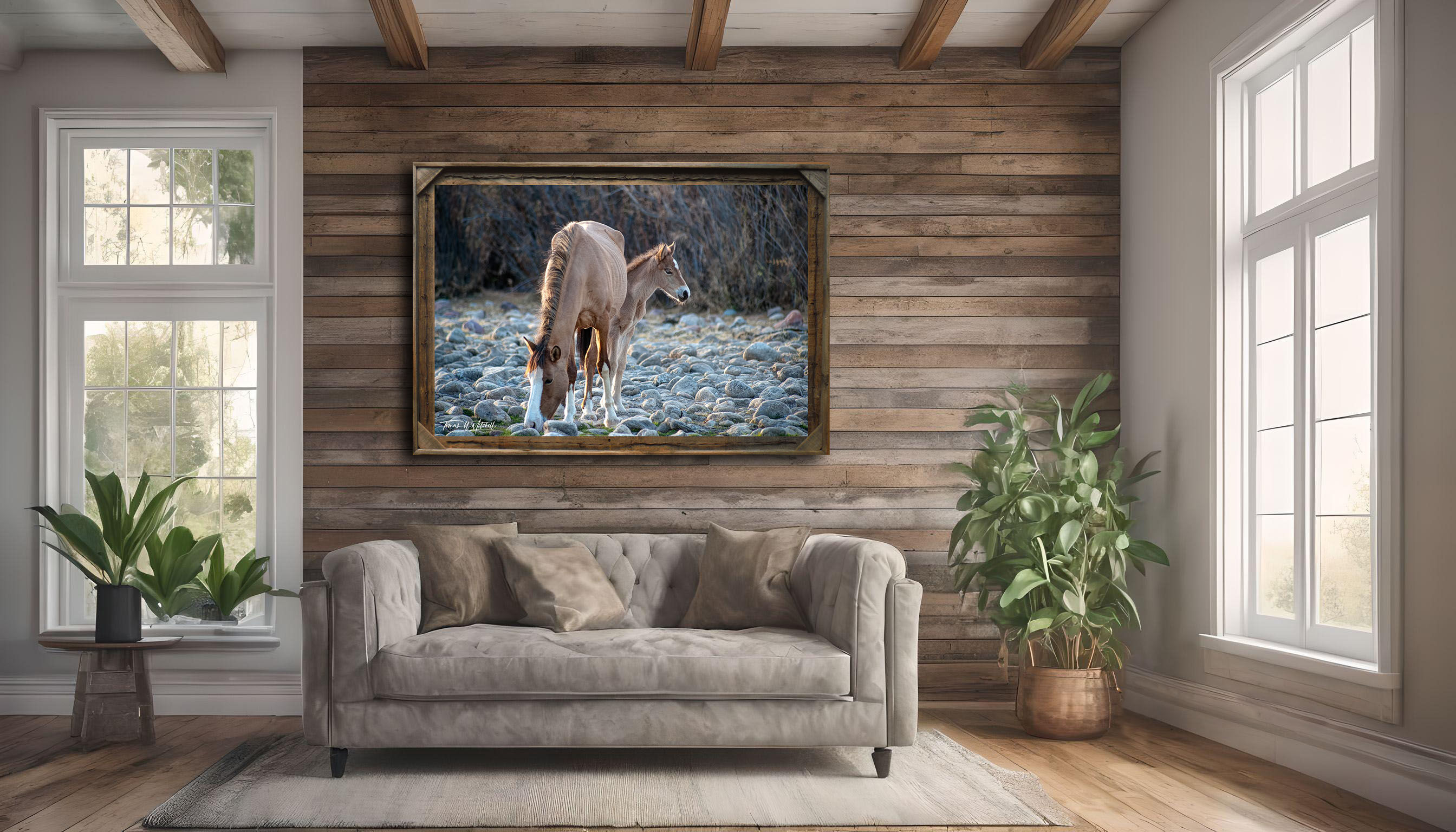 framed photograph of wild horses on home wall