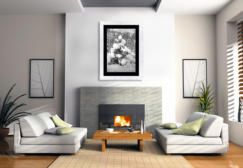 framed photograph of snow covered tree on home wall