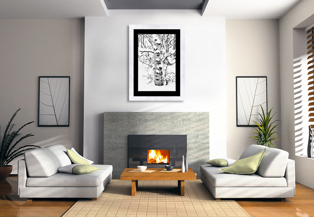 framed photograph of snowy forest in utah