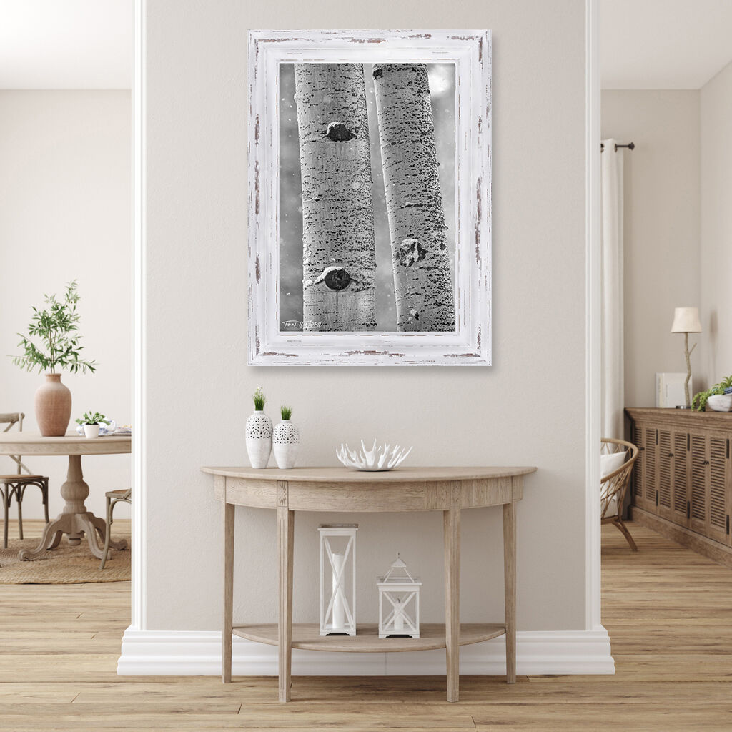 framed photograph of quaking aspen trees in winter snow on home wall