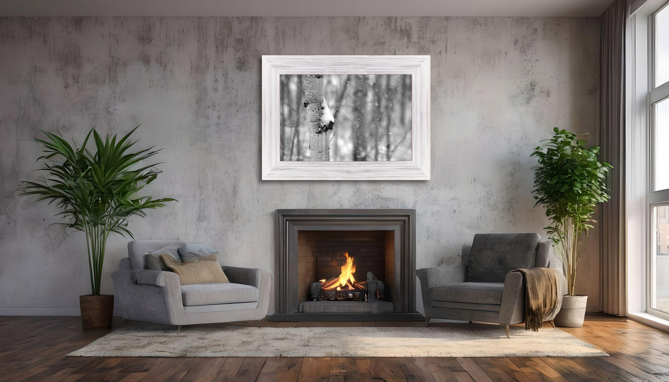 framed photograph of aspen trees in winter snow on home wall