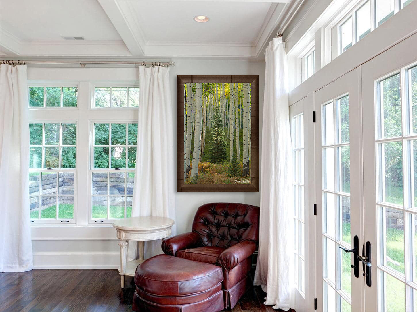 framed photograph of pine tree in aspen forest on home wall