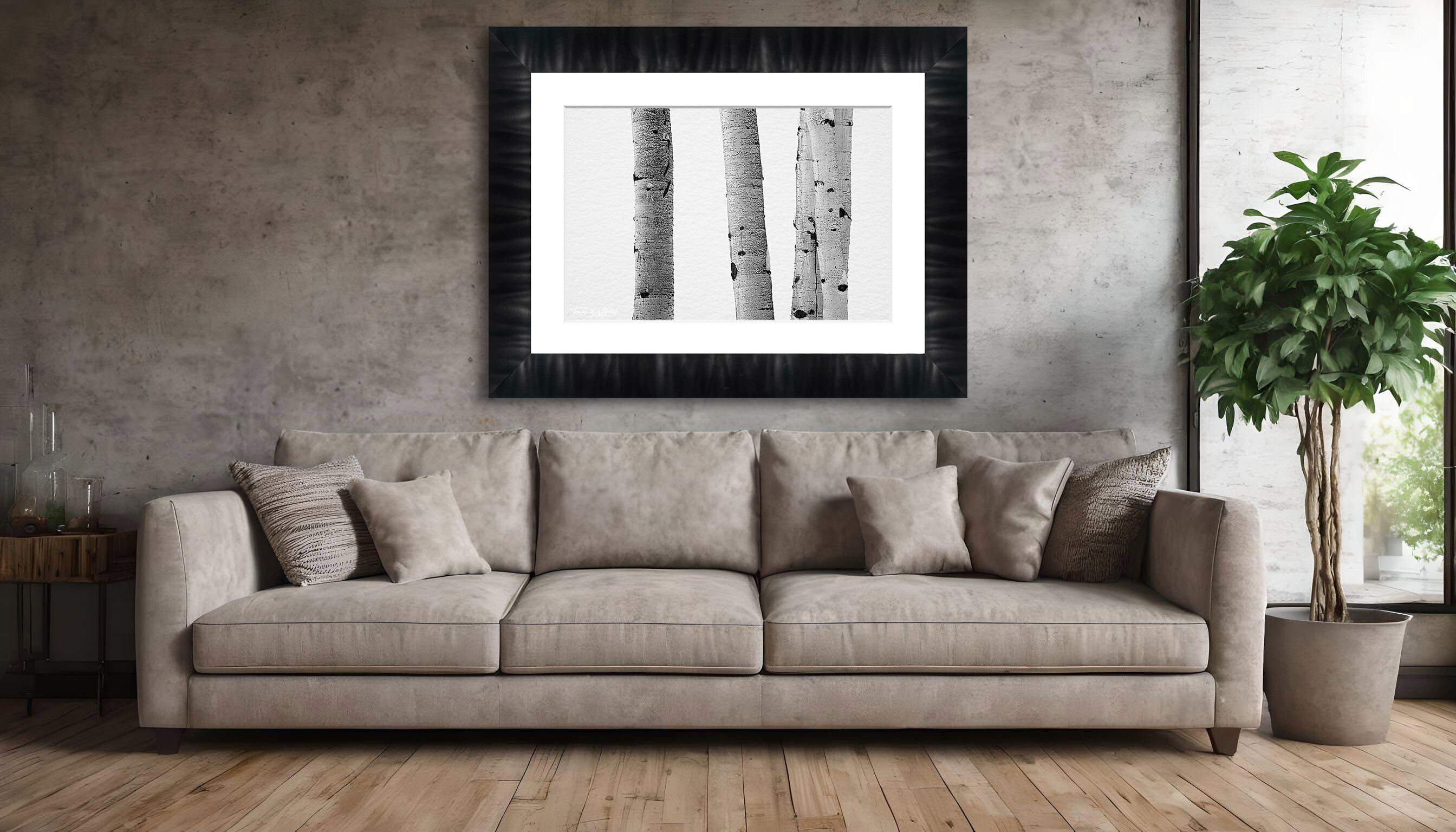 framed photograph of aspen forest in the winter on home wall