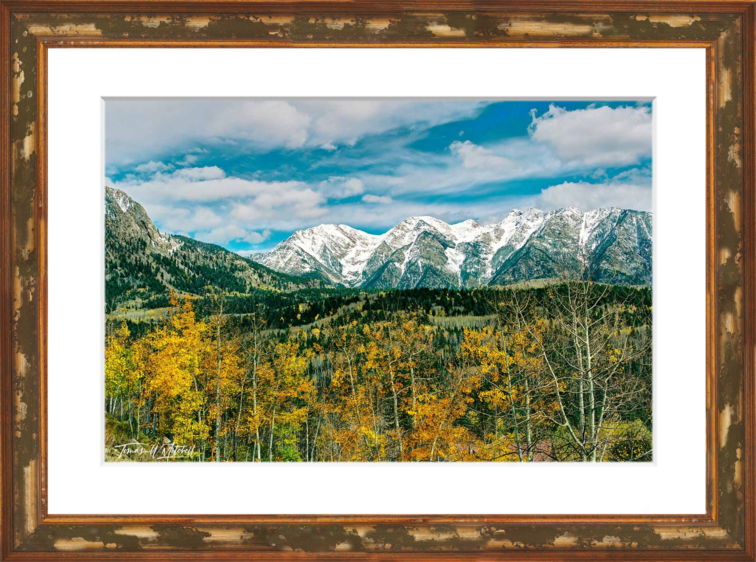 Limited Edition Artist's Choice Framed Print- Ready to Hang print preview