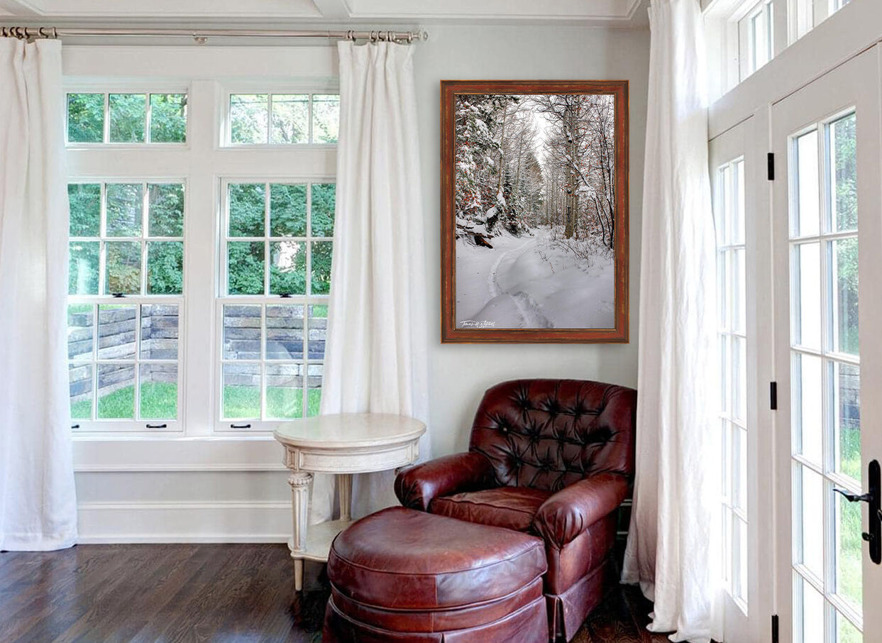 framed photograph of forest in winter snow on home wall
